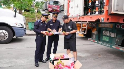 PẠNG HẢI QUAN LỒNG LÈNG TẢNG LÀN BẠI CẦN LẲC PUÔN KHAI CÚA NẮM RỌ CỐC CO