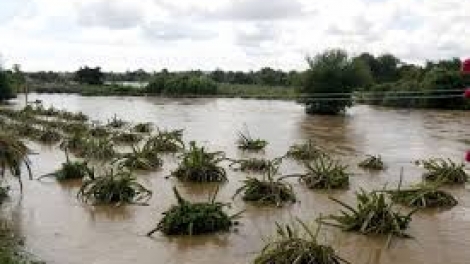 Danak dak sap Cam 05_12_2025