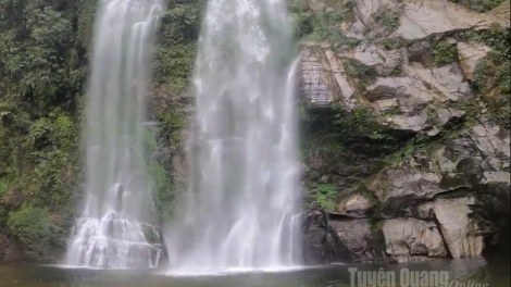 DƯƠNG CHỒM THOONG TIÊN - ĐÈO GIÓ DÚ SLẢNH TUYÊN QUANG