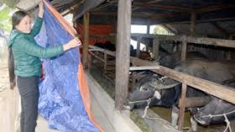 Ngon tô thứ 3 mự 30 căm bườn 12 pì 2025 – Tủm pua pảy chự tồ tảnh liệng cuồng mua nào cưm