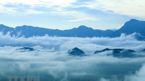 Phai paz nhây phiến