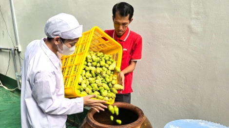 យុវជនម្នាក់ធ្វើផ្លែ-ញឲ្យក្លាយទៅជាផលិតផលផ្កាយ៤
