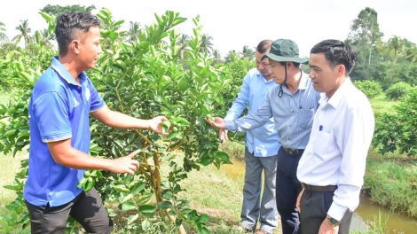 ជនរួមជាតិខ្មែរខិតខំប្រឹងប្រែងកសាងស្រុកភូមិ។