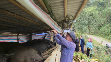  Ngon tô thứ 3 mự 13 bườn 01 pì 2026 – Chự phong nào cưm, dák nhả hẳư tồ tảnh liệng cuồng mua nào cưm