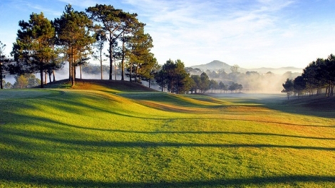 Đảng là người mẹ hiền