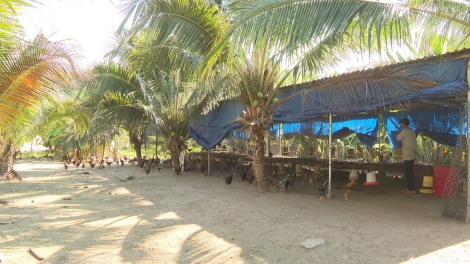 URANG KAYA NONG RAONG MENUK ALA DHAN LI-U HIJAO DI TINH LAM DONG