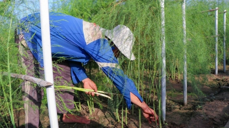 CHI BO PALEI PAMBUAK SAONG HOP TAC XA PADANG BRUK NGAK MBANG MENG NJAM RIBUNG PRANG