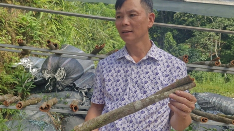 Chường trình phát thanh thứ 5 mự 08 căm bườn 01 pì 2026