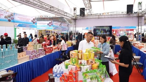 Tsaz yênhx nta suôz luk Hmôngz hnuz 15.1.2026