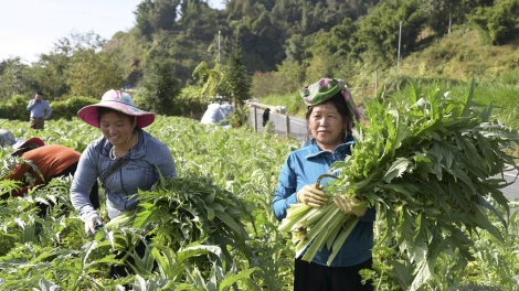 Ngon tô thứ 2 mự 26 căm bườn 1 pì 2026: Lao Cài – chấp năm lang mon hựt khửn té pưng Nghị quyết cốc chính