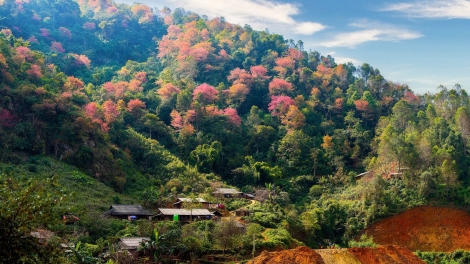 Xor xưv faz Bắc hnuz xiêz 9/1/2026