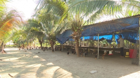 Bơngai pơdrŏng tih đơ̆ng rong iĕr hơla 'long gao tơ̆ dêh char Lâm Đồng 