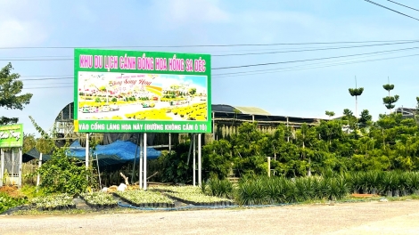 ដើម្បី ផ្កា និងរុក្ខជាតិលម្អបោះជំហានចេញទៅឆ្ងាយជាង។