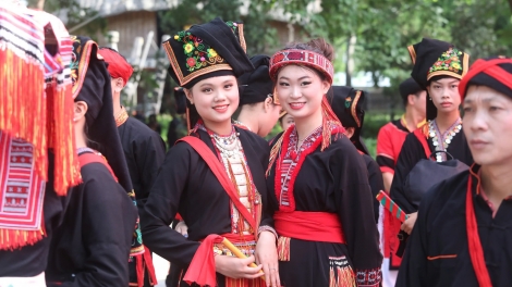 Lầy tzình thzáng ca páo dung chủ nhật hoi 1/2/2026