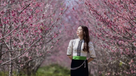 Chương trình quam khắp chựa nọi côn 12 căm bườn 2 pì 2026