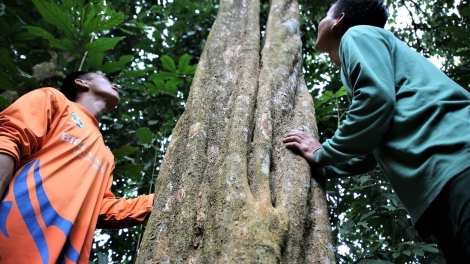 K’RONG BHRỢ K’NOỌ 20 TỶ ĐỒNG C’BHUH ZƯ LÊY LÂNG CHA GROONG RA ROOH CRÂNG BHRIÊL G’LĂNG