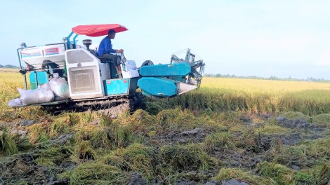 ចាកផុតភាពក្រីក្រពីទម្រង់ប្រកបរបរចិញ្ចឹមជីវិត