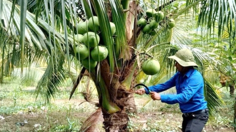 យុវជនខ្មែរម្នាក់មានការរួមចំណែកធ្វើឲ្យស្រុកភូមិមានការរីកចំរើនពីមួយថ្ងៃទៅមួយថ្ងៃ