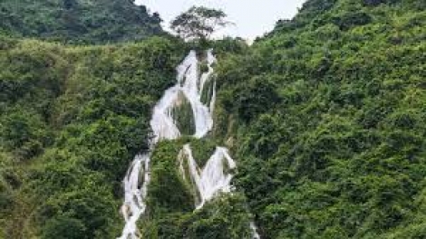 Danak dak sap Cam 06_01_2026