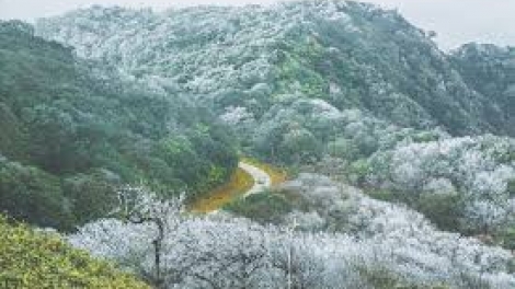 Danak dak sap Cam 07_01_2026