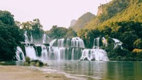 Danak dak sap Cam 09_01_2026