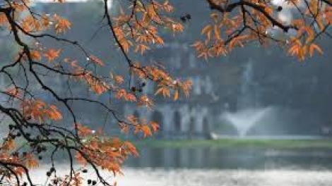 Danak dak sap Cam 24_01_2026