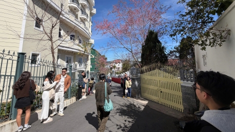 Lễ hội kao mai anh đào – Đà Lạt geh âk nău ueh.