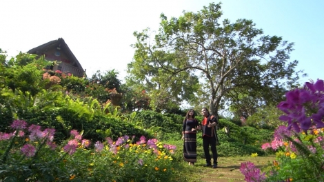 Mùa xuân về với Tây Nguyên