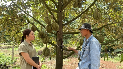 Đảng leh anăn Knŭk kna hrăm mbĭt čiăng kơ ƀĭng ngă lŏ hma Dak Lak jing pô mdrŏng prăk êklai