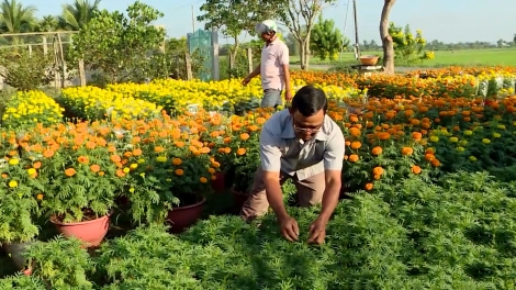 ផ្កា និងរុក្ខជាតិលម្អជាទិសដៅនៃការលើកកំពស់ចំណូលជូនបងប្អូនខ្មែរ