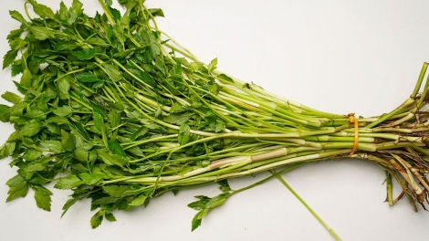 CO PHJẮC Ỏ PỀN DA