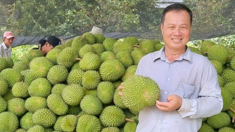 ĐHANUÔR BHRỢ HA RÊÊ ĐHUỐCH HUỲNH THANH LÂM LÂNG CR’NOỌ T’BHLÂNG PA DƯR RAU CHR’NĂP ÂNG SẦU RIÊNG NHƠN ÁI