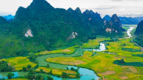 Danak dak sap Cam 05_01_2026