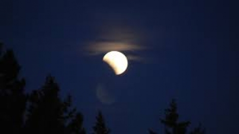 Danak dak sap Cam 29_01_2026