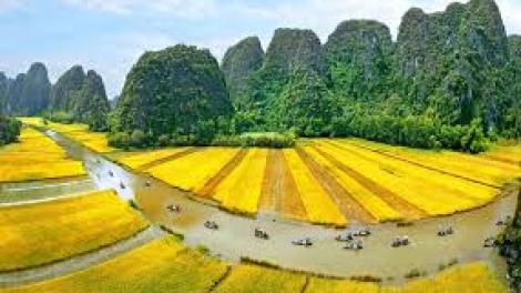 Danak dak sap Cam 03_01_2026