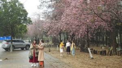 Mùa xuân về với Tây Nguyên