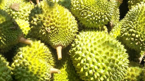 ពត៌មាន ម៉ោង​ ៦