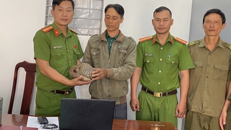 Mnuih ƀuôn sang  Dak Liêng – Dak Lak ba jao leh sa drei êñuôl Java yuôm hin 