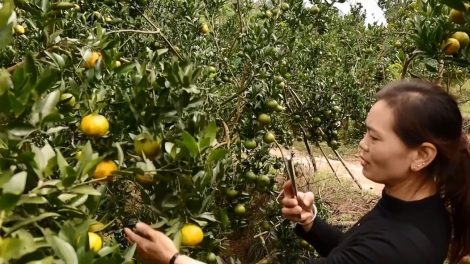 Đơ̆ng mir pơgar truh tơ̆ kmăi kmŏk kơsô̆