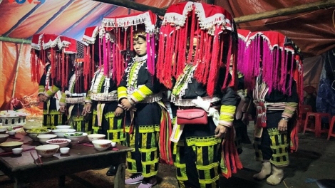 Lầy tzình phát sinh ừu miền vả thứ 7 hoi 31/1/2026