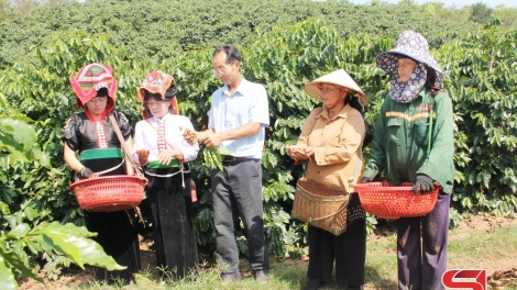 Coiz thiuz chaoz tzấu cành tzuống thính tẩy pung Sơn La coiz viển