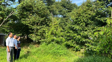 ពត៌មាន ម៉ោង​ ៦