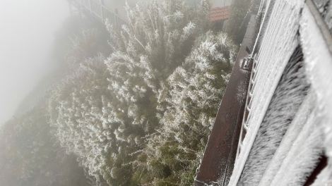 Quam kháo phổng Tày Bắc thứ 5 mự 08 căm bườn 01 pì 2026