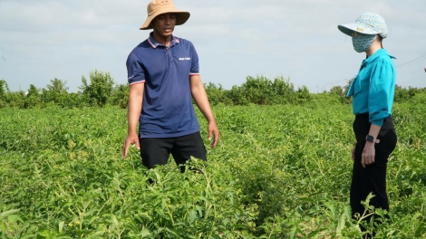 និទាឃរដូវឆាប់មកដល់លើដីផ្នោរកាម៉ាវ។