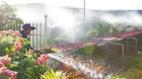 ពត៌មាន ម៉ោង ១៥