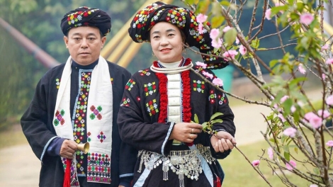 Lầy tzình phát sinh ừu miền vả thứ 3 hoi 17/2/2026 (1 Tết)