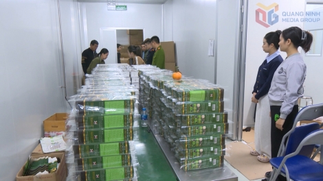 QUẢNG NINH: TẢNG LÀN BẠI CẦN HẾT VẠ KHAI CÚA CHÁ