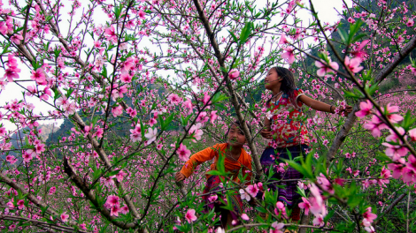 CHƯƠNG TRÌNH KHAY HENG TÀY - NÙNG (Chủ nhật, vằn 22 bươn 2 pi 2026)