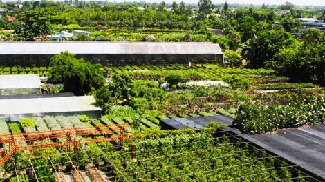 ពត៌មាន ម៉ោង ១៥