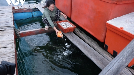 RAONG IKAN DALAM RO DI DOM PULAO PEI MERAONG: JALAN PATAGOK KINH TE SIAM LAGAIH